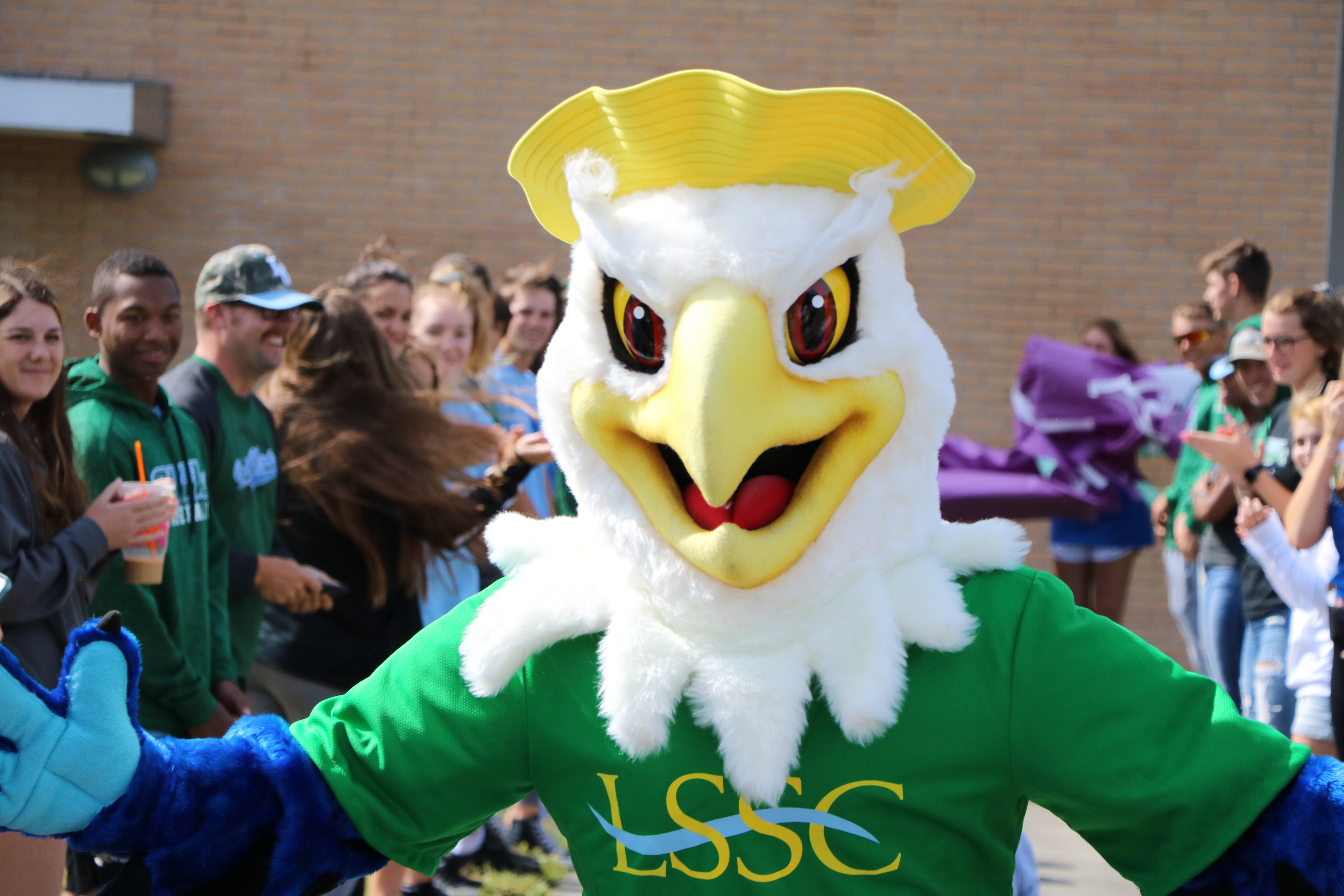 LSSC to introduce official Lakehawk mascot