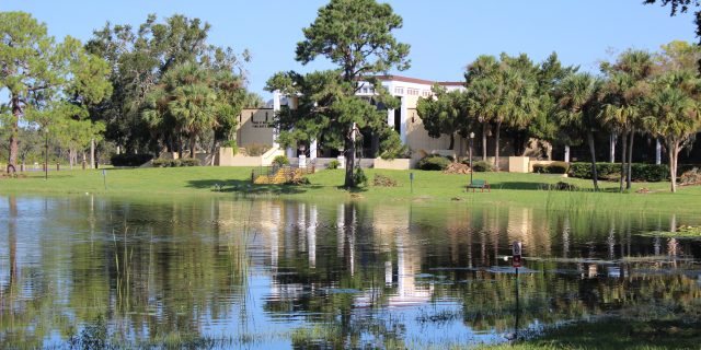 View of lake on campus