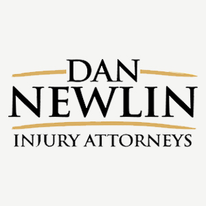 Dan Newlin logo