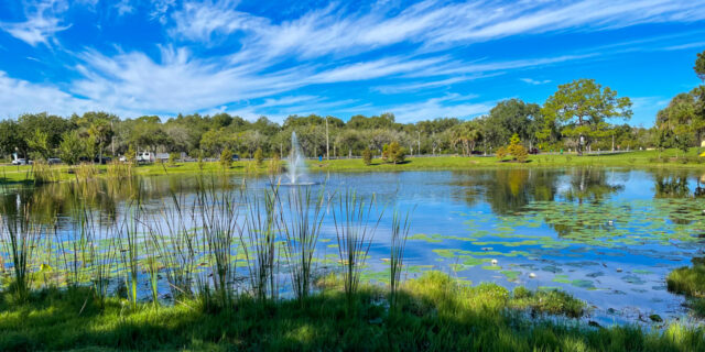 Picture of a pond with a small fountain and trees in the distance