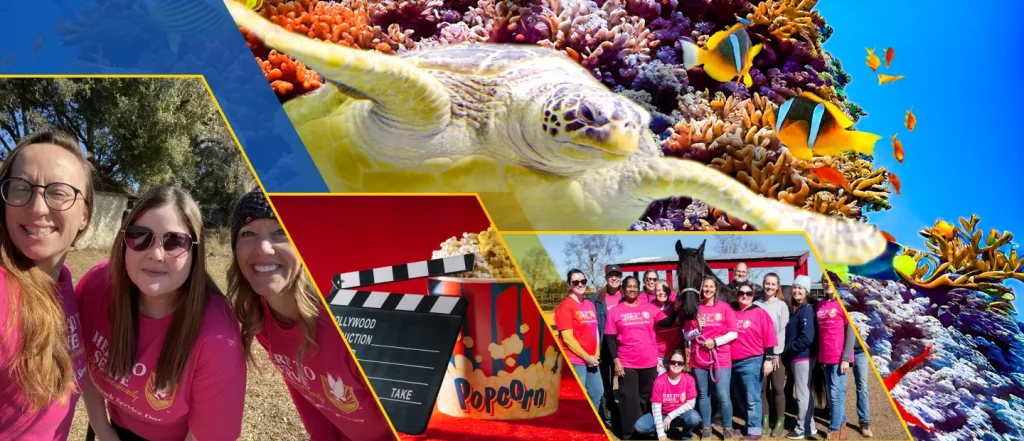 Collage: people in pink shirts, sea turtle underwater, popcorn, clapperboard, group with horse outdoors.
