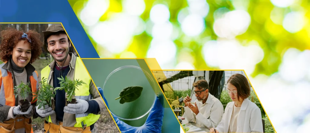 Enviromental science students class