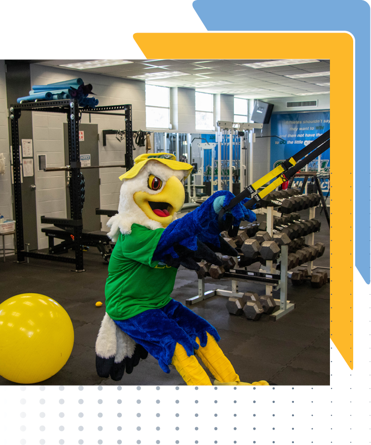 Swoop working out