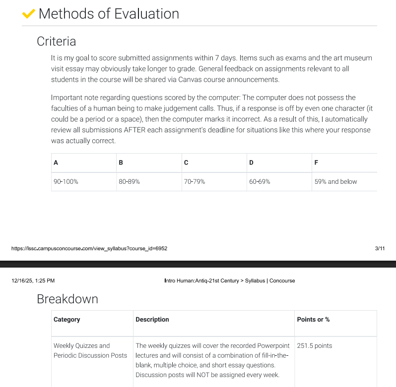 table showing grade scale like 90-100% is an A, as well as example categories like Quizzes and Discussions, and includes a point total per category.