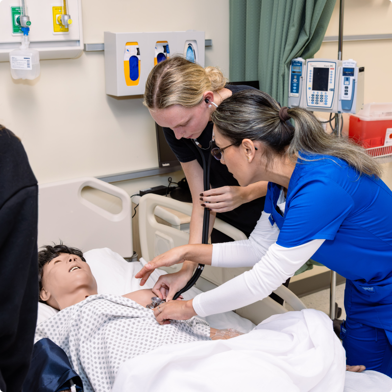 Two students using a stethoscope on a medical training mannequin in a clinical lab setting.