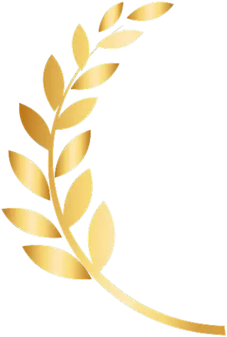 Golden laurel wreath, curved half-circle, leaf detail, transparent background.